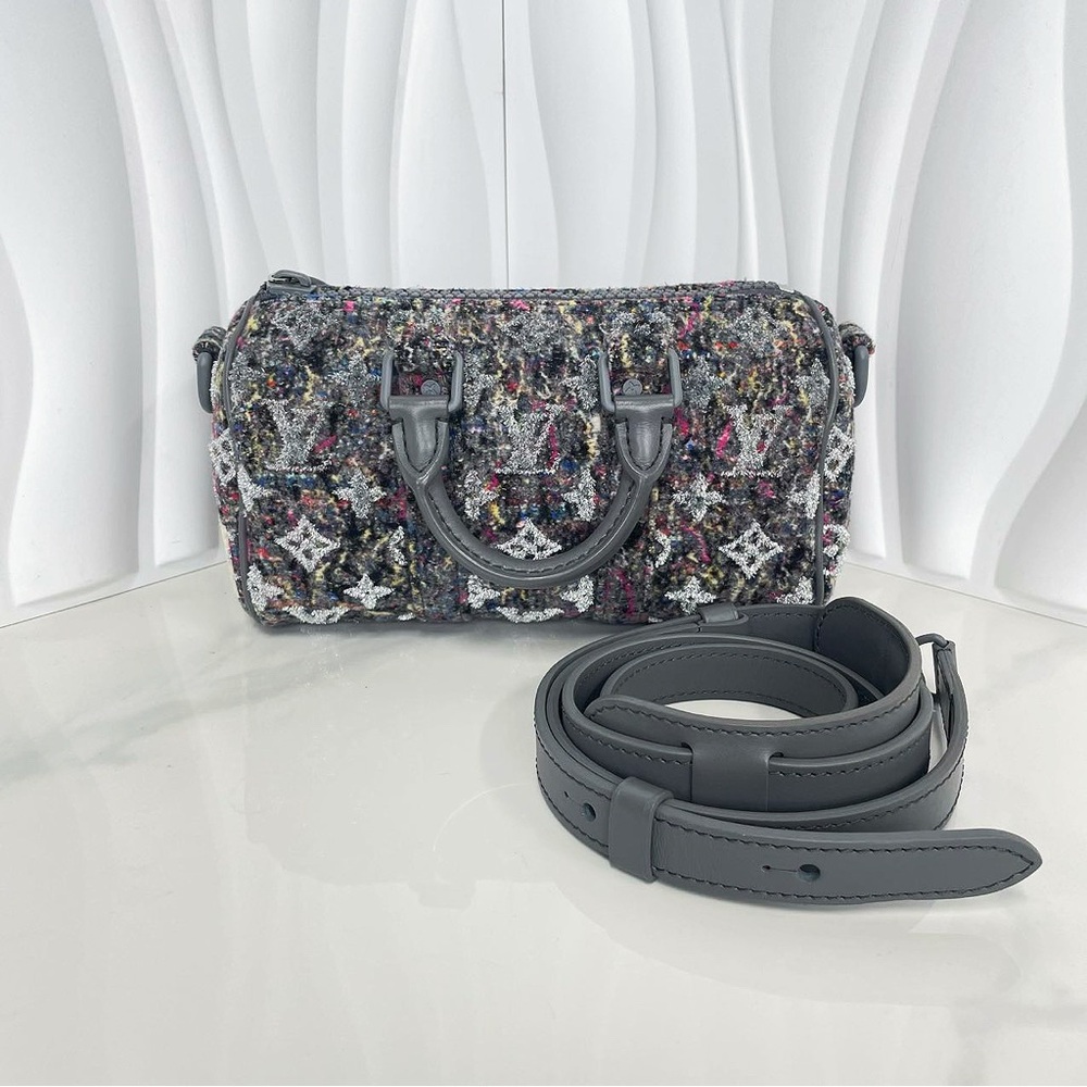 Louis Vuitton Multicolor Tweed Speedy Bag